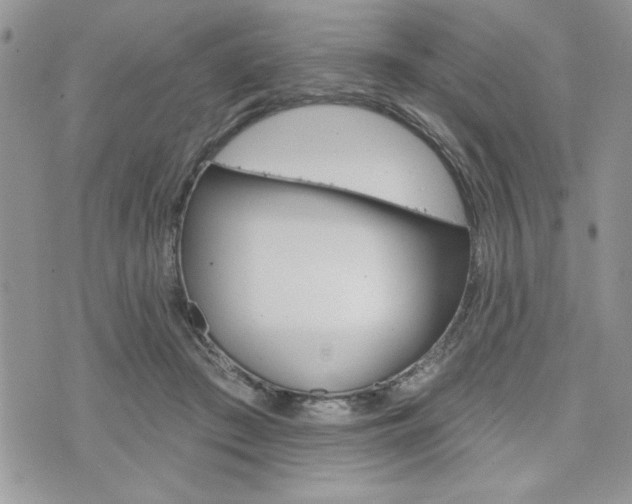 X0000076300409200609290734