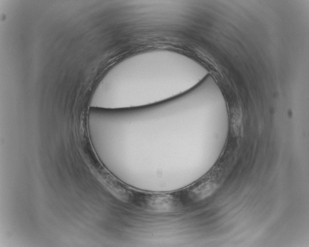 X0000076300410200609290734