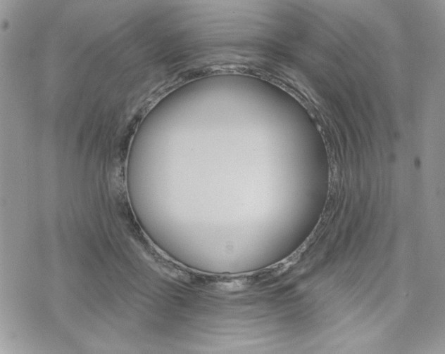 X0000076300411200609290734