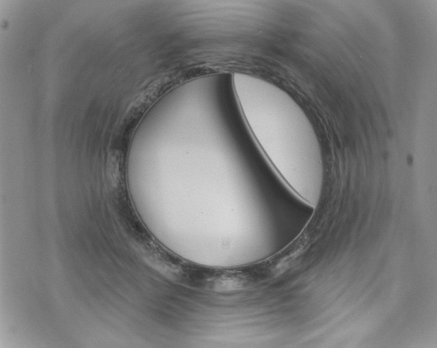 X0000076300412200609290734