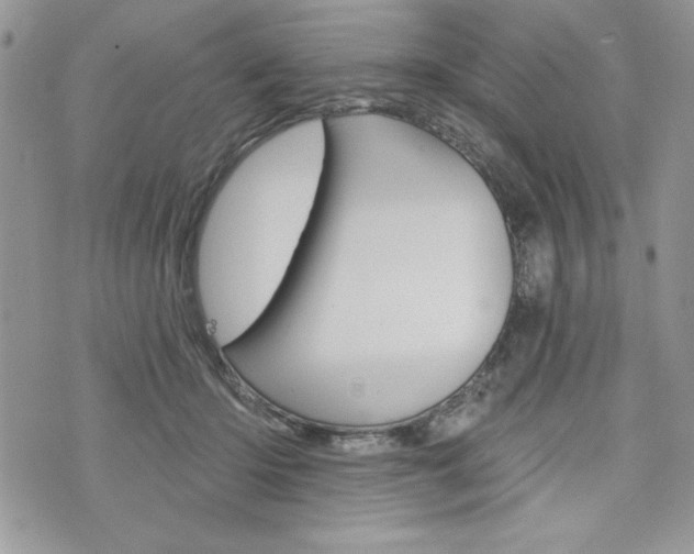 X0000076300414200609290734