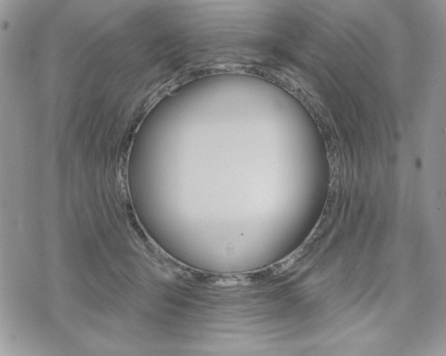 X0000076300415200609290734