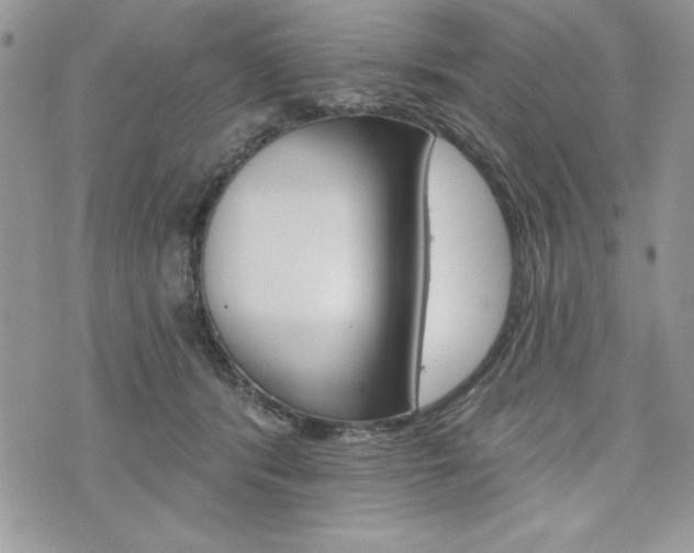 X0000076300416200609290734