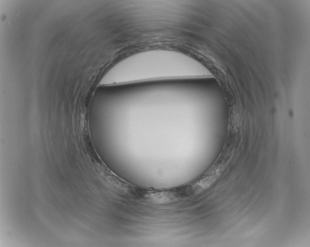 X0000076300417200609290734