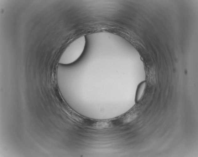 X0000076300418200609290734