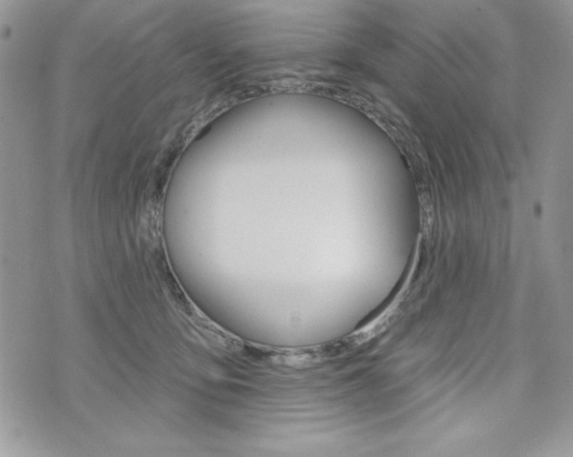 X0000076300419200609290734