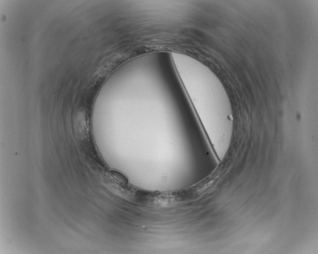 X0000076300420200609290734