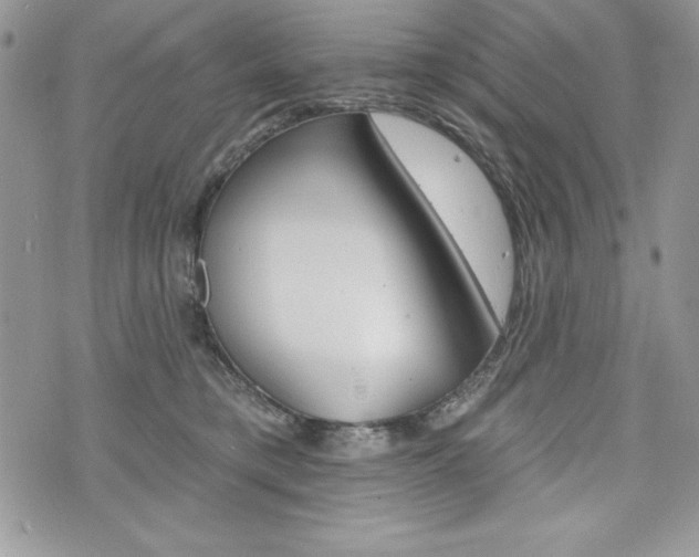 X0000076300421200609290734