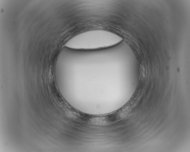 X0000076300422200609290734