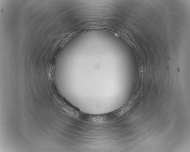 X0000076300423200609290734