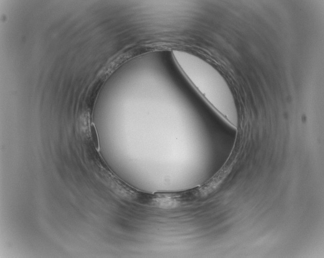 X0000076300425200609290734