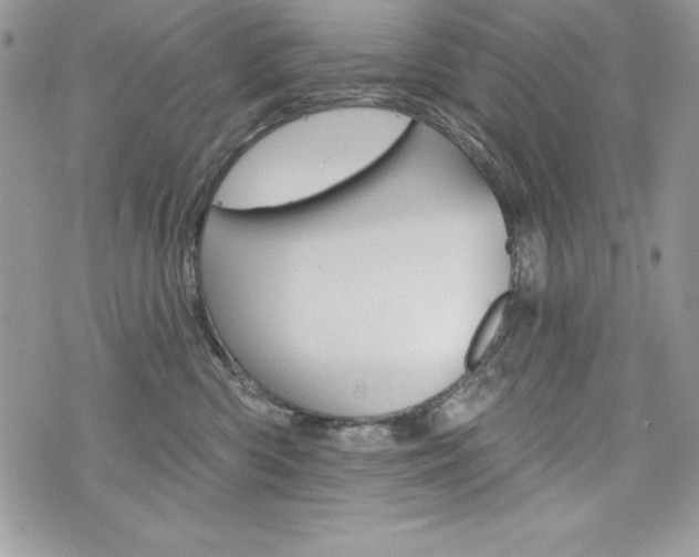 X0000076300426200609290734