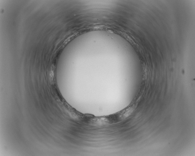 X0000076300427200609290734