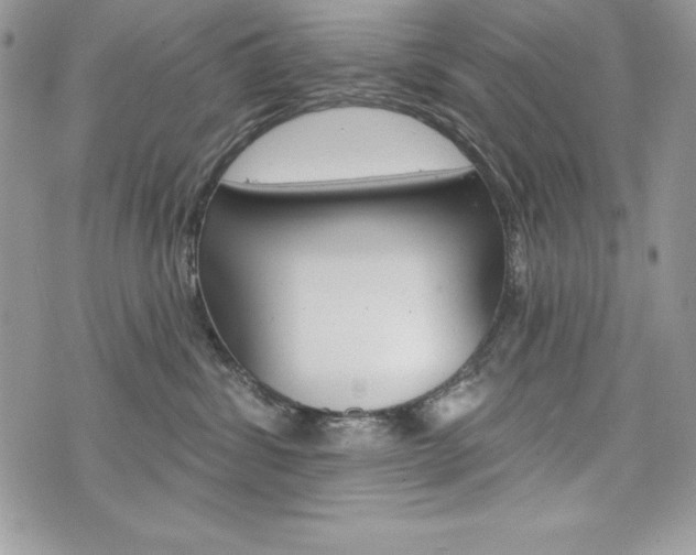 X0000076300428200609290734