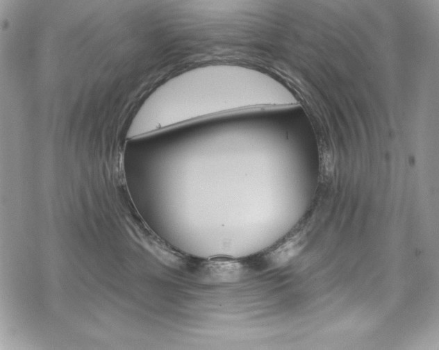 X0000076300429200609290734