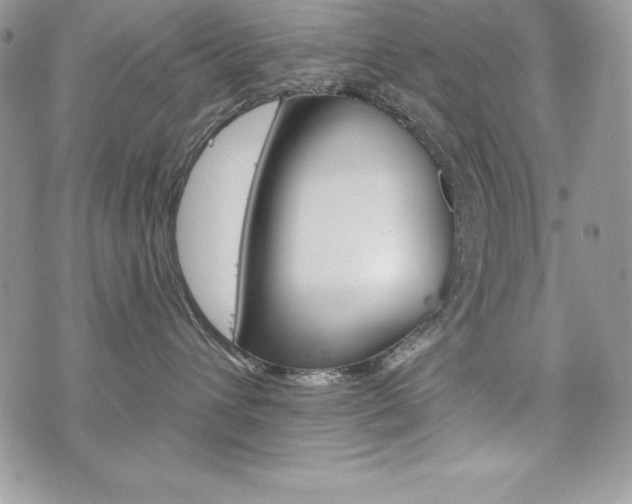 X0000076300432200609290733