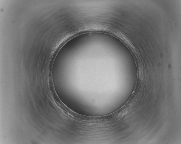 X0000076300434200609290733