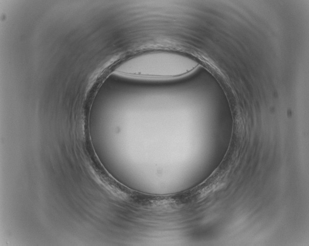 X0000076300446200609290733