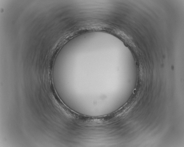 X0000076300449200609290733