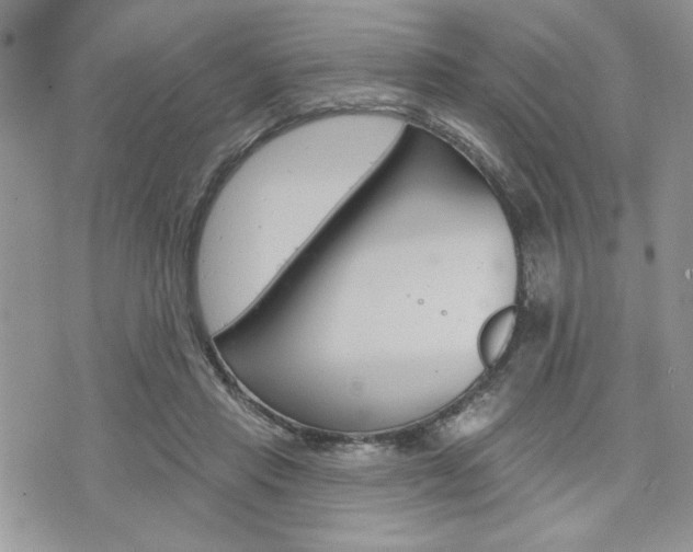 X0000076300453200609290733