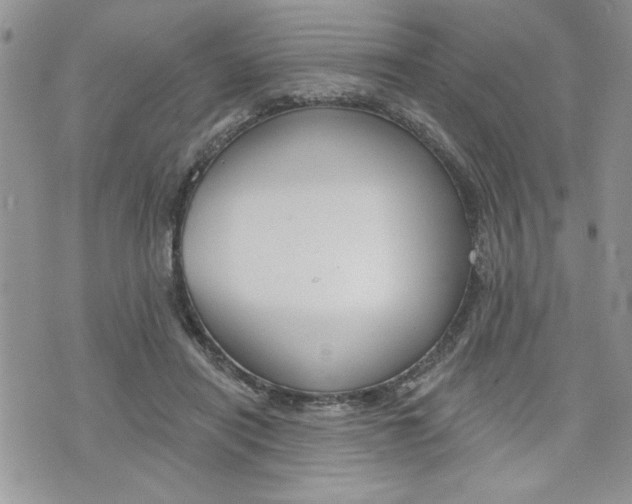 X0000076300454200609290733