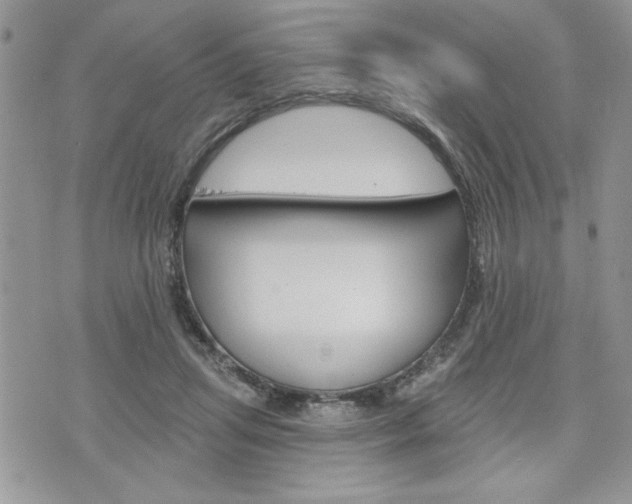 X0000076300455200609290733