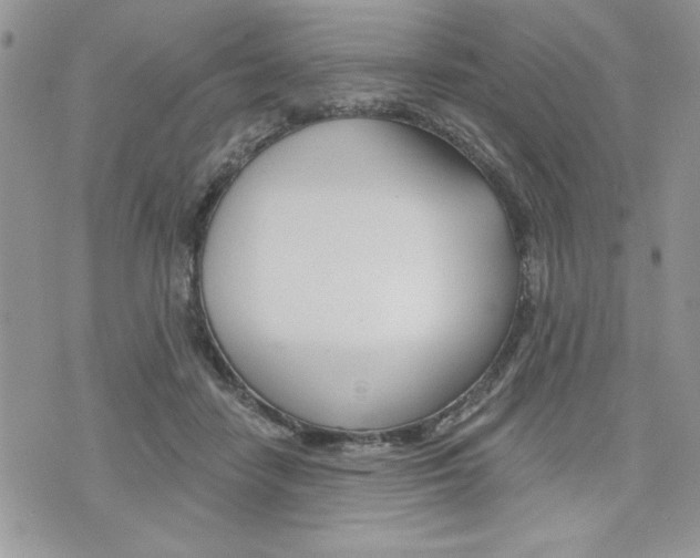 X0000076300458200609290733