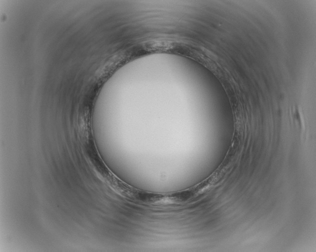 X0000076300460200609290733