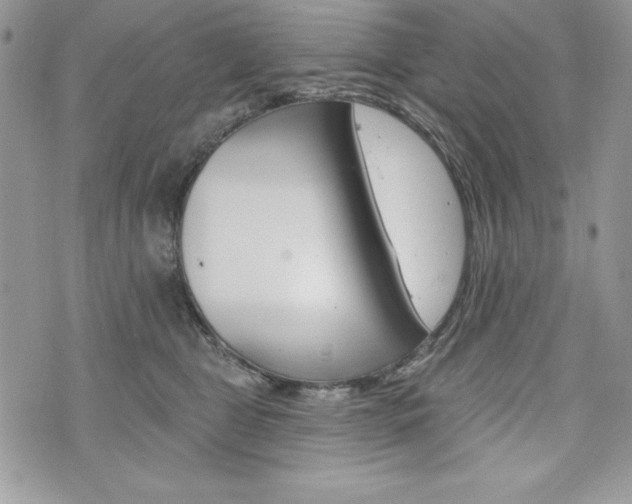 X0000076300469200609290733