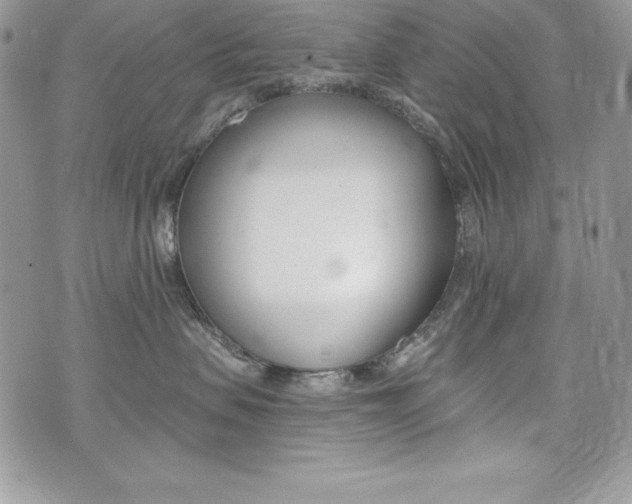 X0000076300479200609290733