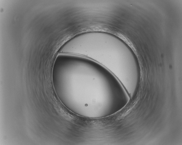 X0000076300481200609290733