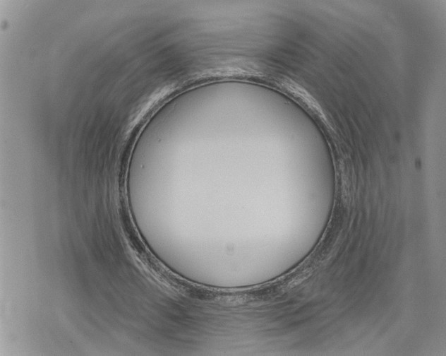 X0000076300482200609290733