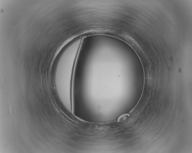 X0000076300484200609290733