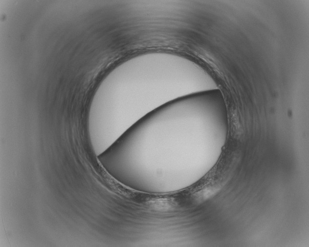X0000076300499200609290732