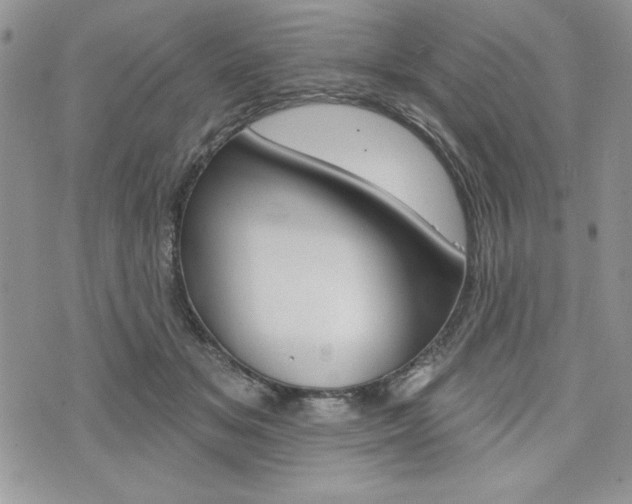 X0000076300509200609290732