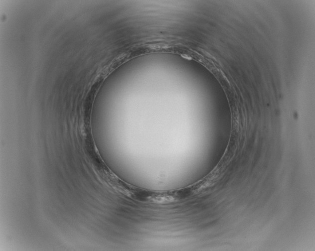 X0000076300512200609290732