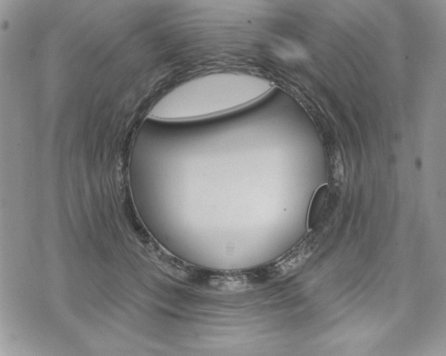 X0000076300559200609290732