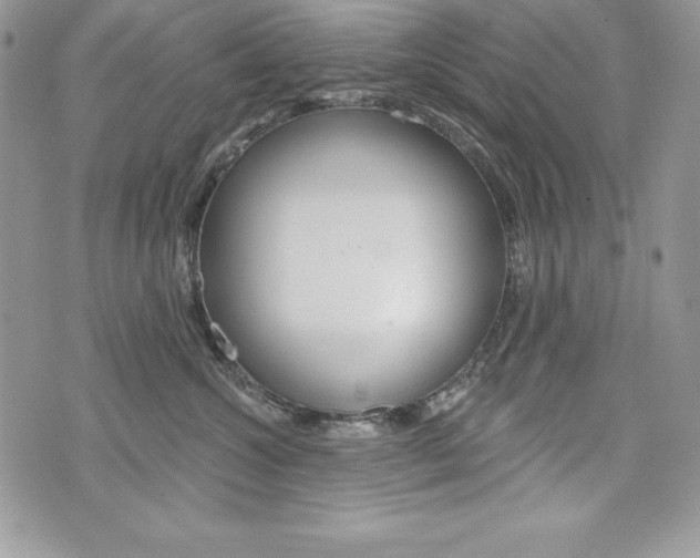 X0000076300572200609290732