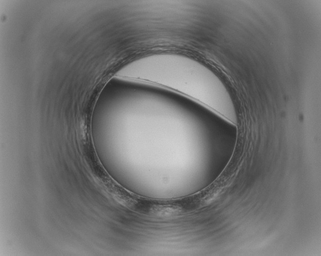 X0000076300597200609290731