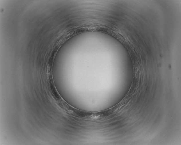 X0000076300647200609290730