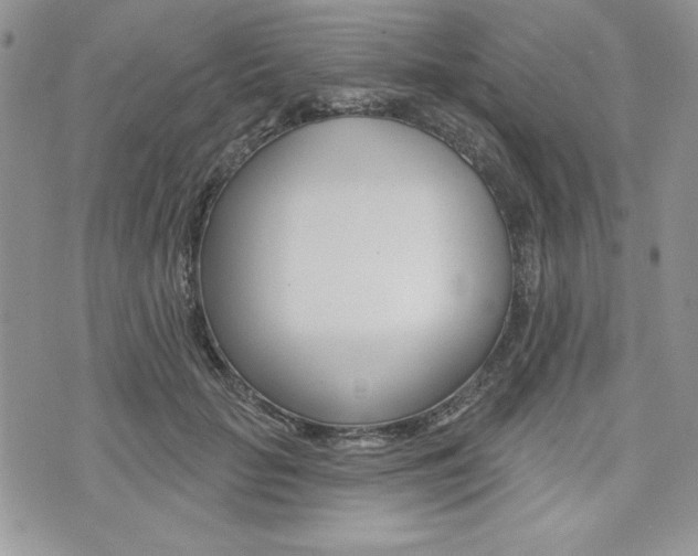 X0000076300653200609290730
