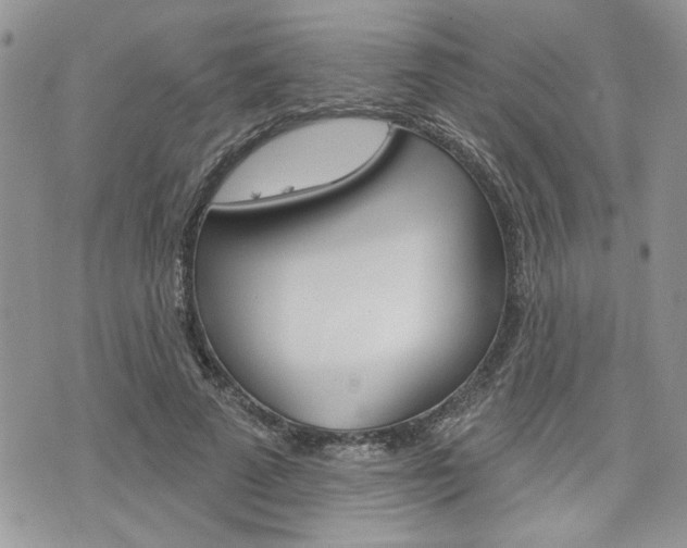 X0000076300689200609290729
