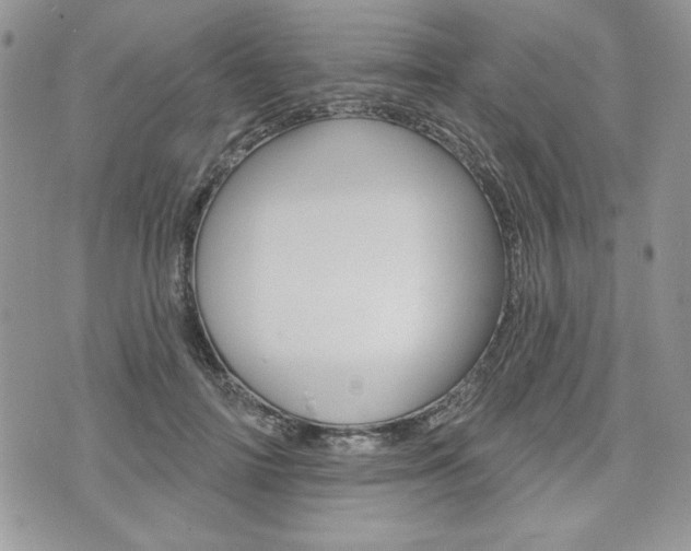X0000076300698200609290729