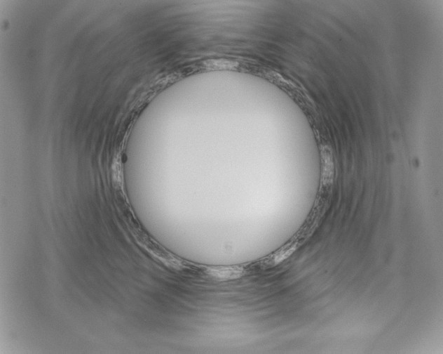 X0000076300713200609290729