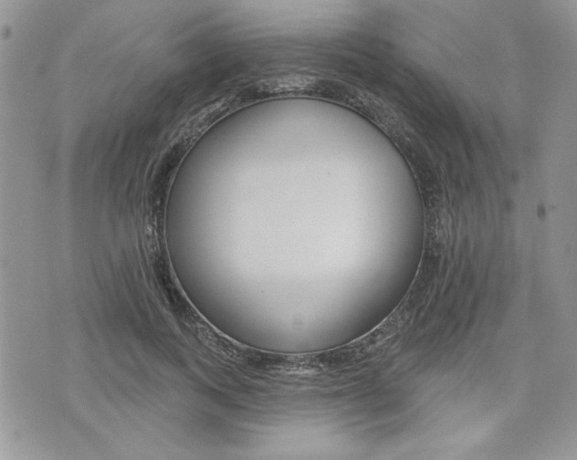 X0000076300743200609290728