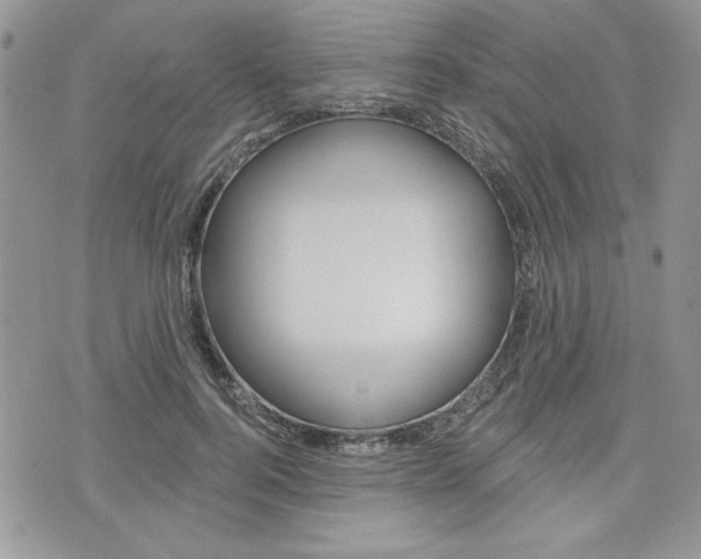 X0000076300744200609290728