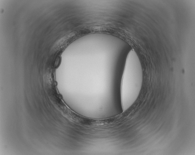 X0000076300746200609290728