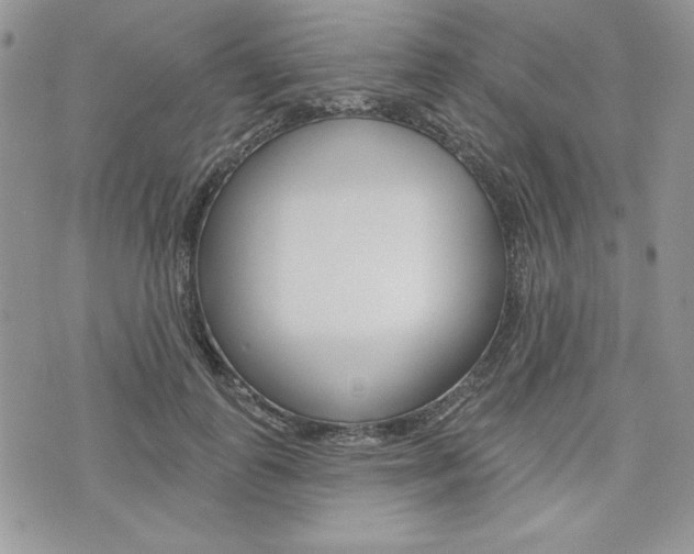 X0000076300747200609290728