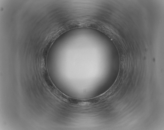 X0000076300748200609290728