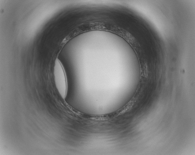 X0000076300763200609290729